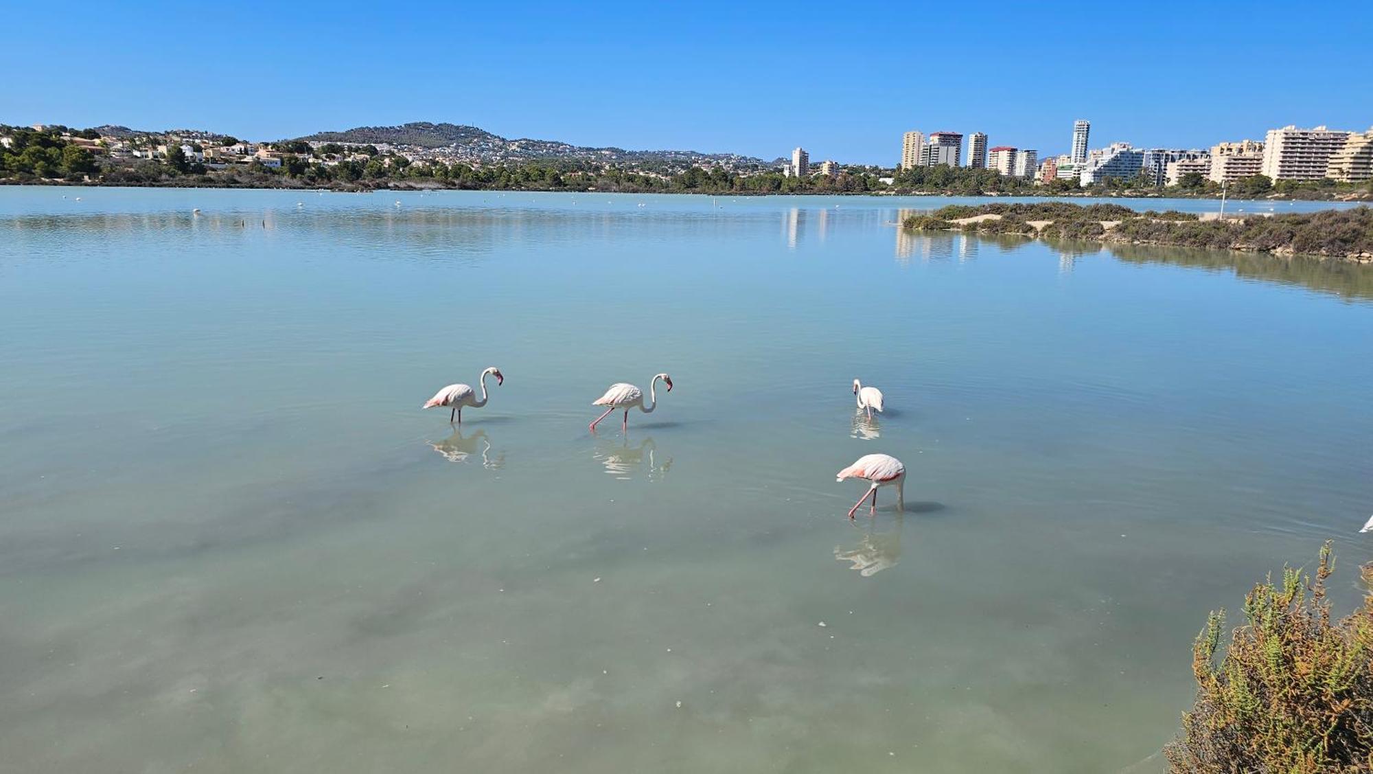 Apartamentos Esmeralda 111B Calpe Eksteriør bilde